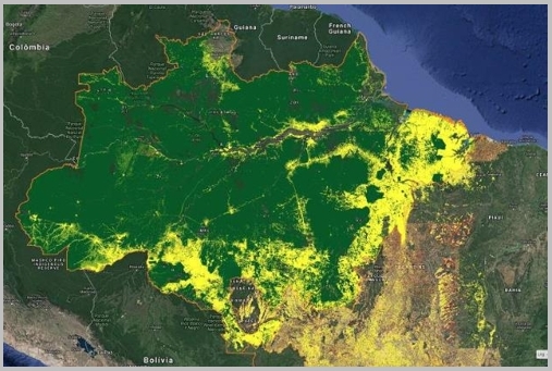 파괴 우림 아마존 열대 열대우림의 파괴