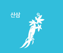 산삼