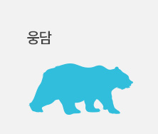 웅담