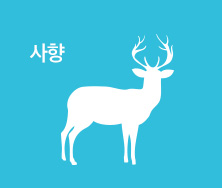 사향