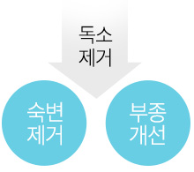 세가지다이어트필2
