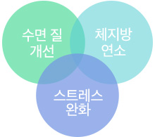 세가지다이어트필3