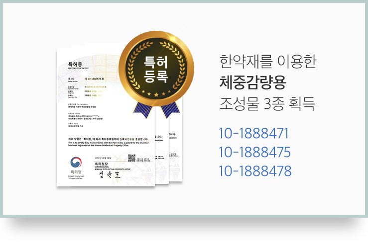 특허이미지