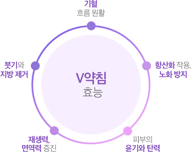 V약침효능