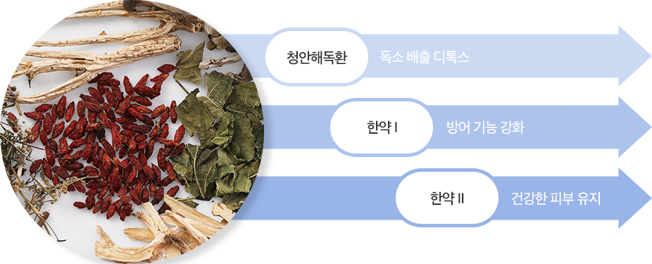 청안해독환 / 디톡스 한약