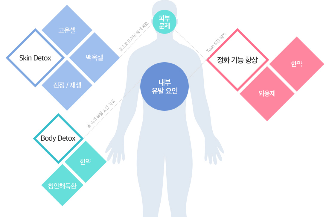 skin detox, body detox, 정화기능향상